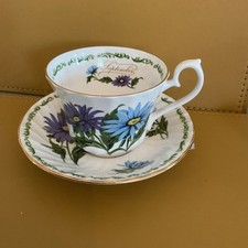 Royal kendal cup for sale  NEWPORT
