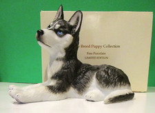 Lenox siberian husky for sale  Bristol