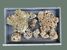Dekogestein meerwasseraquarium gebraucht kaufen  Wallenhorst