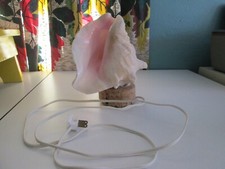 Vintage conch shell for sale  Durand