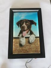 Pubblicità quadro luminoso usato  Urbisaglia