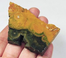 179ct natural ocean for sale  Walnut