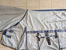 Fliegendecke 135 lösdau gebraucht kaufen  Schollbrunn