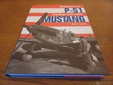 Mustang development the usato  Italia