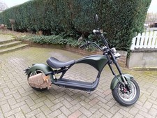 Mangosteen chopper matt gebraucht kaufen  Spelle