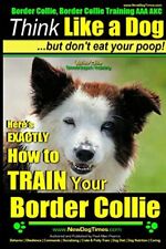 Border collie border for sale  USA