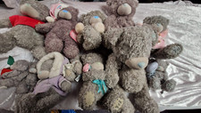 Tatty teddy bears for sale  MANSFIELD