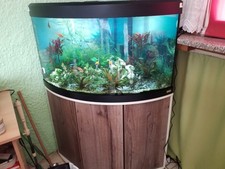 eckaquarium komplett gebraucht kaufen eckaquarium komplett gebraucht kaufen  Marktl