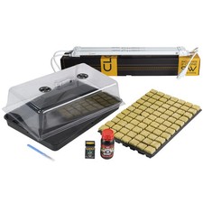 Clone seed propagation for sale  STOKE-ON-TRENT