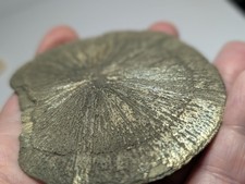 pyrite sun for sale pyrite sun for sale Suncook