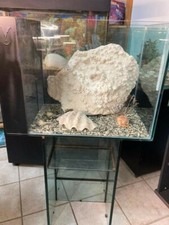 Acquario usato come usato  Roma