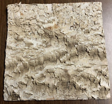 White birch wood for sale  Buffalo