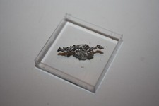 Gediegenes silber mexiko gebraucht kaufen  Helsa