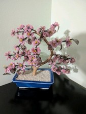 Pink cherry blossom for sale  Bensalem