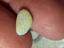 Pal milchopal australien gebraucht kaufen  Genthin
