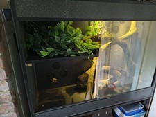 X18 pvc vivarium for sale  SWINDON