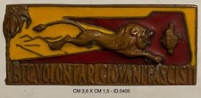 Battaglione giovani cc.nn. usato  Milano