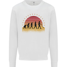 Metal detecting evolution for sale  COVENTRY