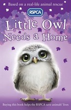 Little owl needs for sale  ELLAND