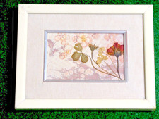 Quadro con passepartout usato Quadro con passepartout usato  Milano