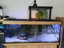 Aquarium juwel rio gebraucht kaufen  Köln