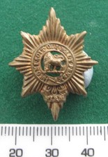 Worcestershire regiment collar for sale  DONCASTER