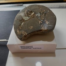 Agate nodule rockhampton for sale  ANDOVER