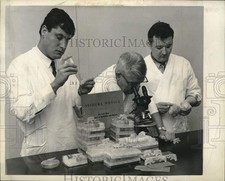1965 press photo for sale  Memphis
