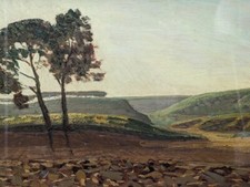 Oreste albertini campagna usato  Gavirate