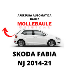 Mollebaule kit molle usato  Mira