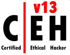 CEH v13 perguntas e respostas hacker ético certificado pelo Conselho CE comprar usado  Enviando para Brazil