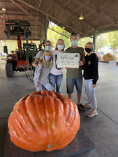 Seeds grow giant for sale  Kaysville