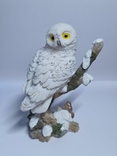 Detailed snowy owl for sale  AYLESBURY