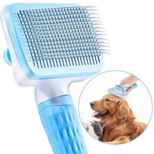Brosse chiens chats d'occasion Brosse chiens chats d'occasion  Pau