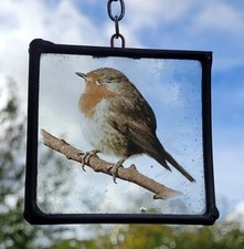 Stained glass robin for sale  BATTLE