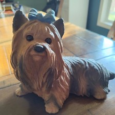 Yorkie yorkshire terrier for sale  Church Hill