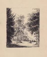 Garten landschaft bäume gebraucht kaufen  Seubersdorf