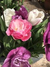 Thirty wonderful mixed for sale  CAMBRIDGE