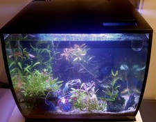 Exklusives fluval komplett gebraucht kaufen Exklusives fluval komplett gebraucht kaufen  Köln