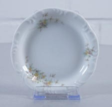 Rosenthal classic rose gebraucht kaufen  Edermünde