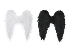 Karnelux feder flügel gebraucht kaufen Karnelux feder flügel gebraucht kaufen  Bargteheide