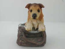 3.5 adorable jack for sale  Titusville