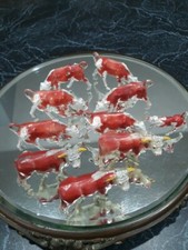 Manoil lead cast for sale  Lake Placid