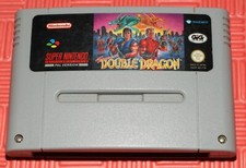 Double dragon gioco usato  Cossato