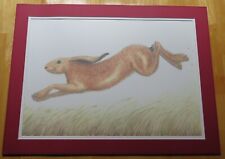 Leaping hare. mounted for sale  WELLINGBOROUGH