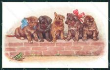 German Shepherd puppy Frog Grosmann B K W postcard cartolina QT6139 comprar usado  Enviando para Brazil