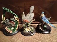 Figuren schöne vogelwelt gebraucht kaufen  Verden