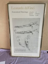 Leonardo vinci anatomical for sale  North Hollywood
