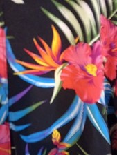 Peacocks size colourful for sale  CREDITON
