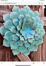 art wall succulents for sale art wall succulents for sale Scottsdale